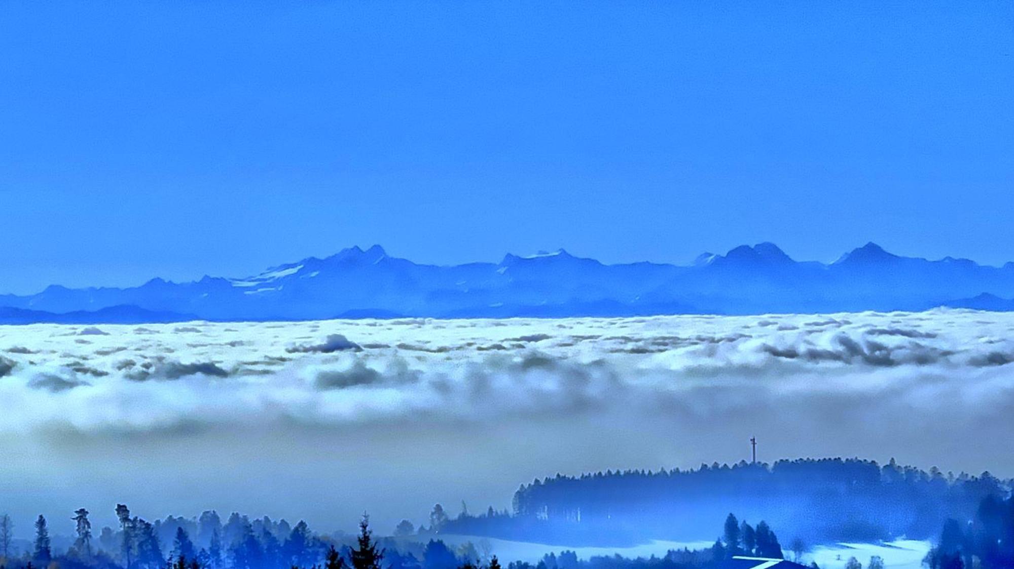 Haus Schlageter Leilighet Dachsberg im Schwarzwald Eksteriør bilde