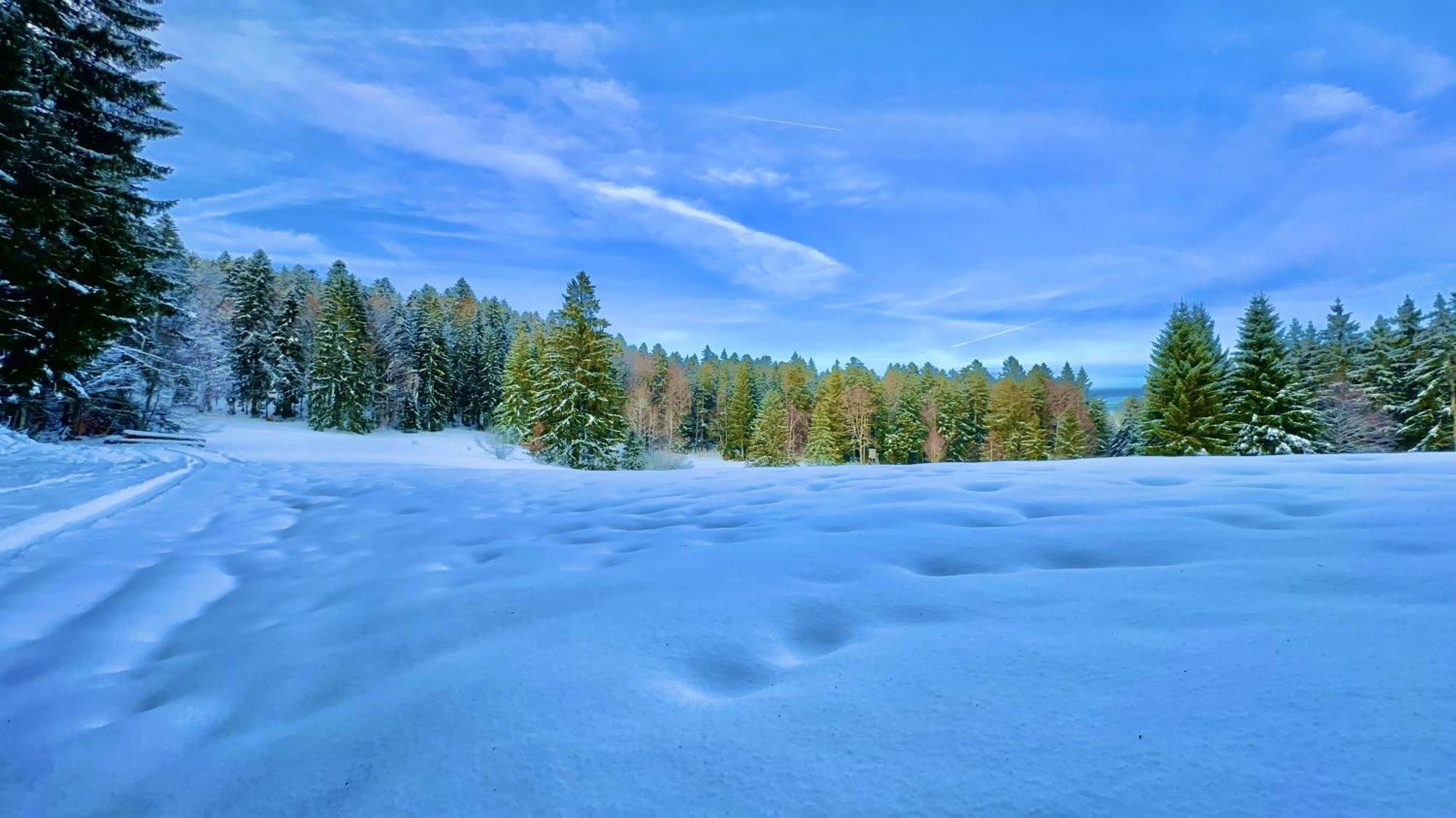 Haus Schlageter Leilighet Dachsberg im Schwarzwald Eksteriør bilde